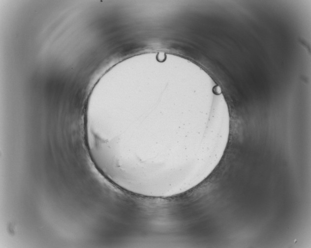 X0000103931100200810171746