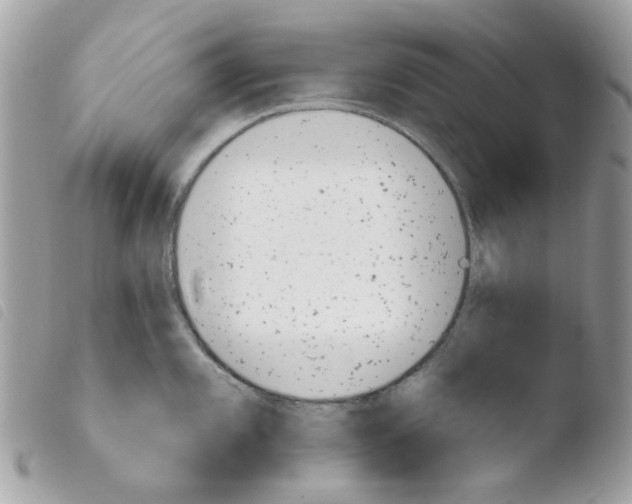 X0000103931101200810171746