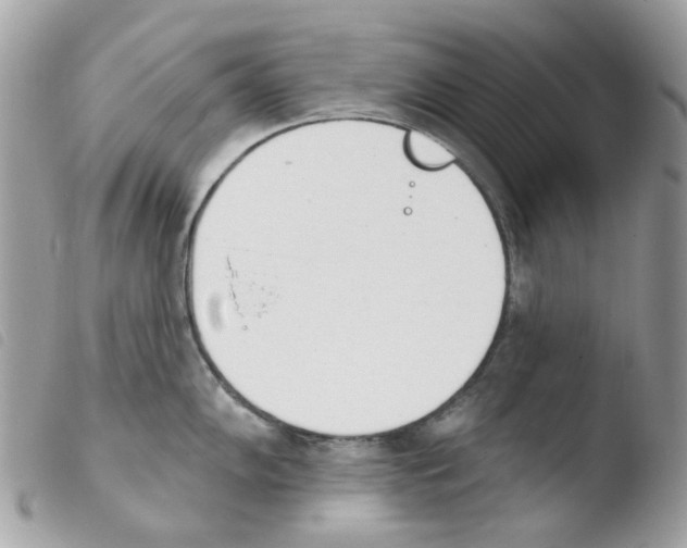 X0000103931102200810171746