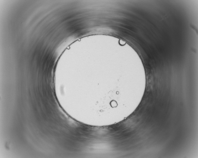 X0000103931103200810171746