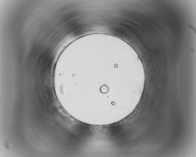 X0000103931104200810171746