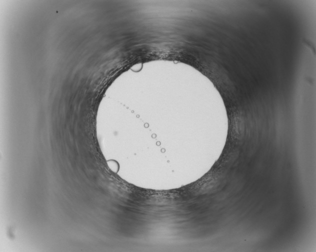 X0000103931105200810171745