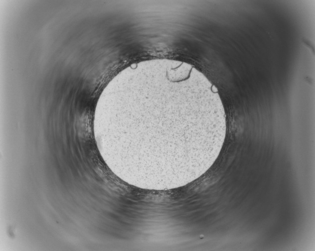 X0000103931106200810171745