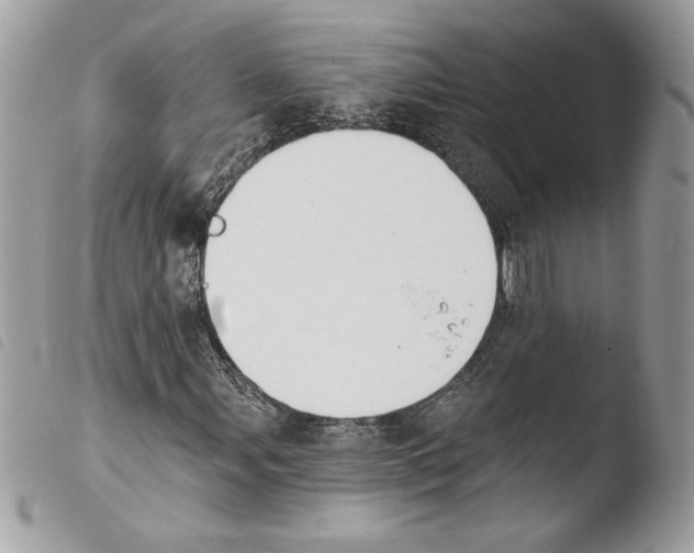 X0000103931107200810171745