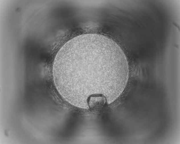 X0000103931108200810171745