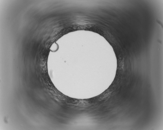 X0000103931109200810171745