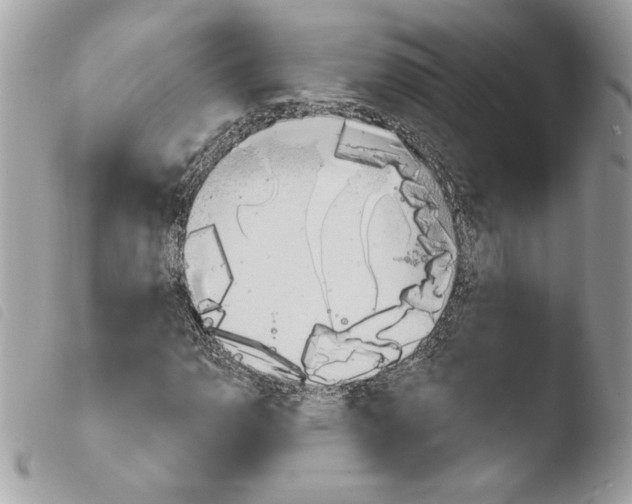 X0000103931110200810171745