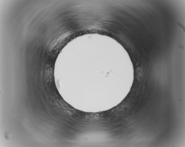 X0000103931111200810171745