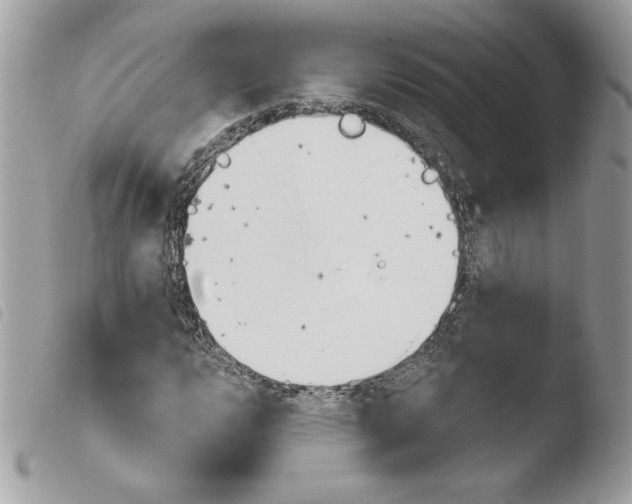 X0000103931112200810171745