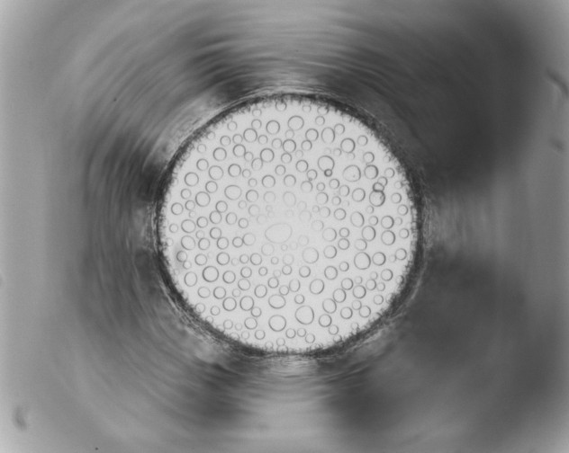 X0000103931113200810171745