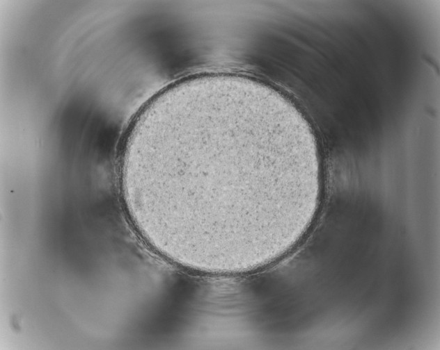 X0000103931114200810171745