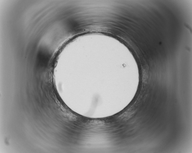 X0000103931115200810171745