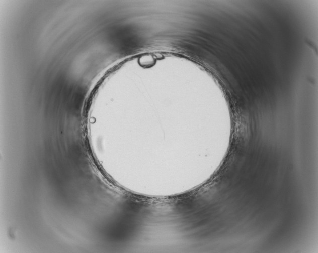 X0000103931116200810171745