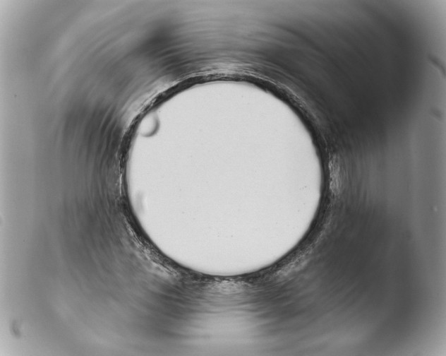 X0000103931117200810171745