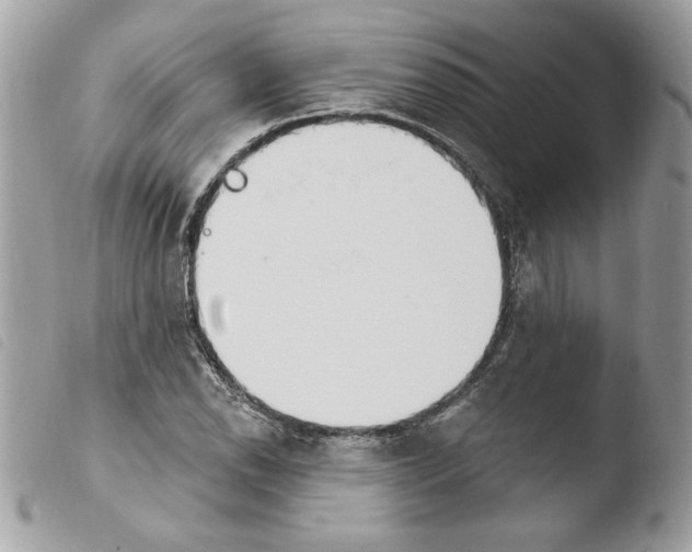 X0000103931118200810171745