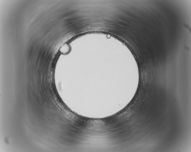 X0000103931119200810171745