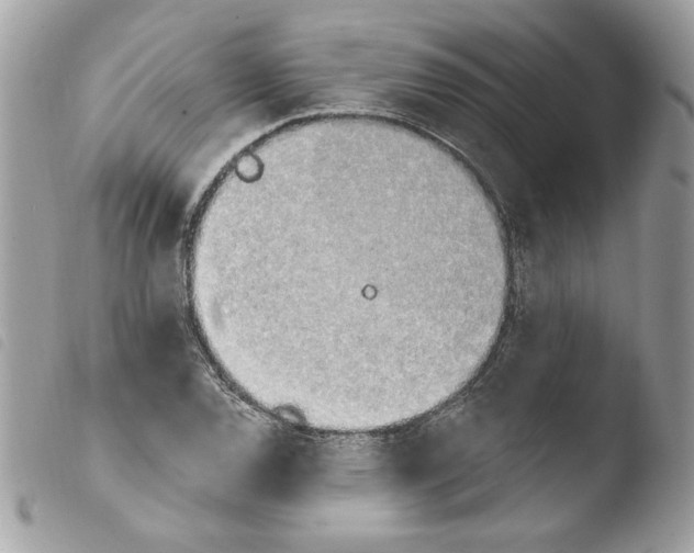 X0000103931120200810171745