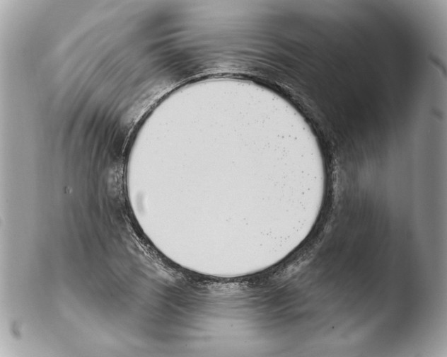 X0000103931121200810171745