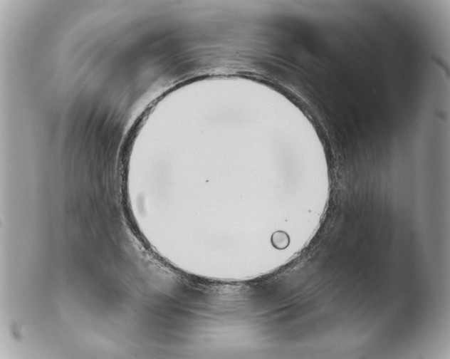 X0000103931122200810171745