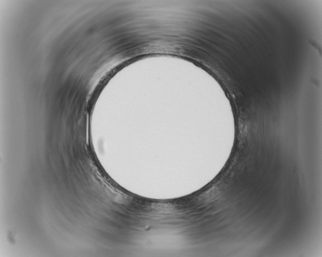 X0000103931123200810171745