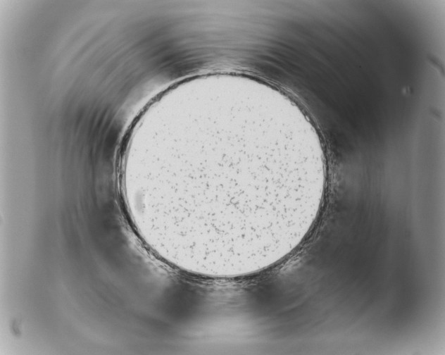 X0000103931124200810171745