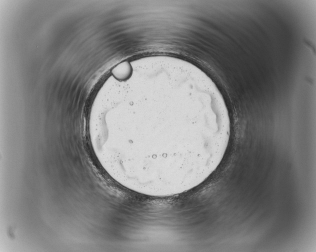 X0000103931125200810171745