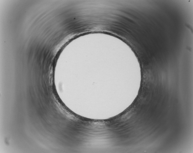 X0000103931126200810171745