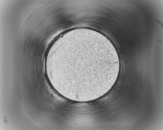 X0000103931127200810171745