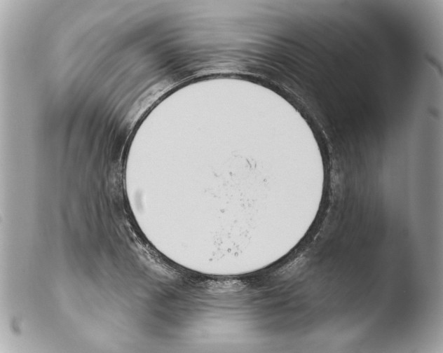 X0000103931129200810171745