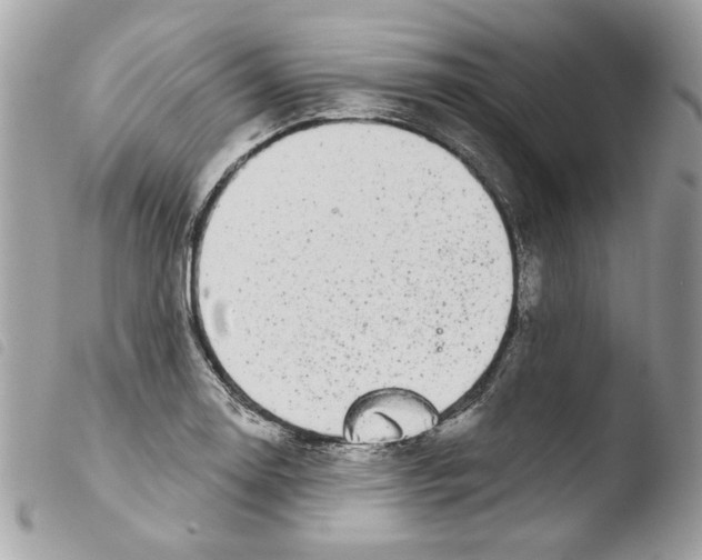 X0000103931130200810171745