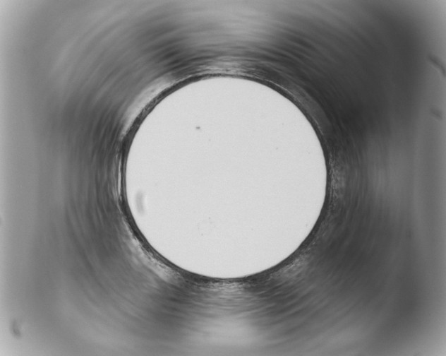 X0000103931131200810171745