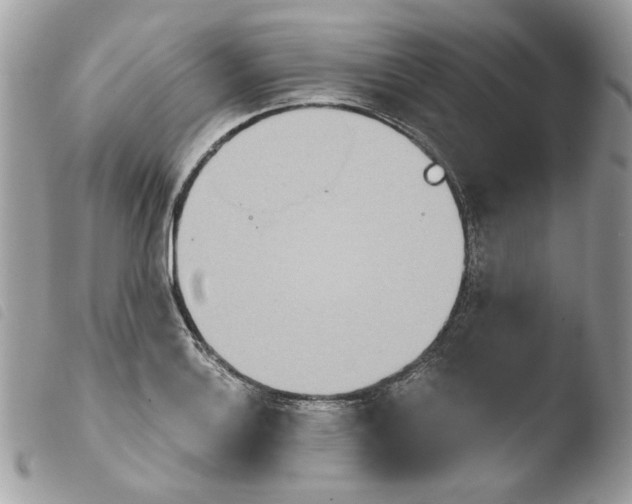 X0000103931132200810171745