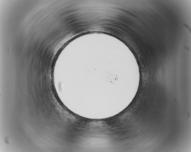 X0000103931133200810171745