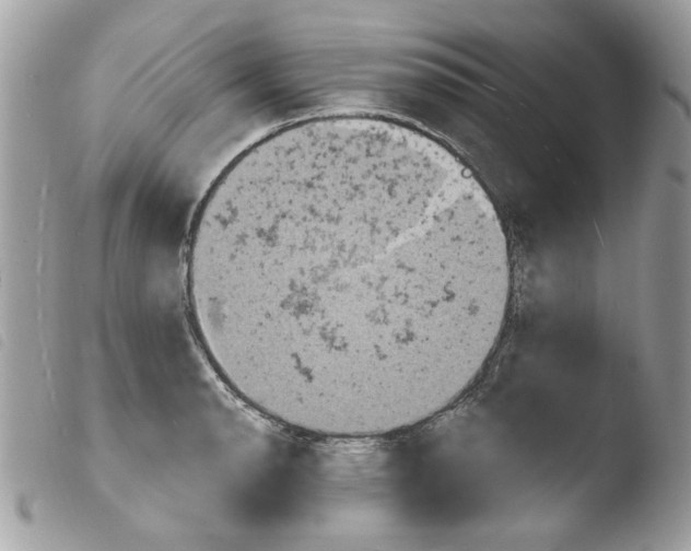 X0000103931134200810171745