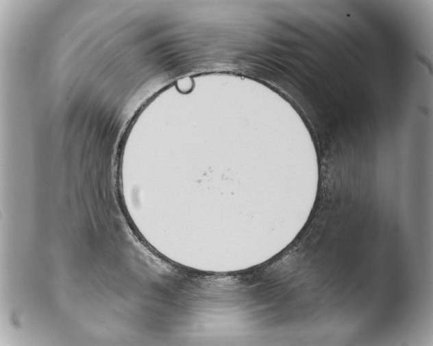 X0000103931135200810171745