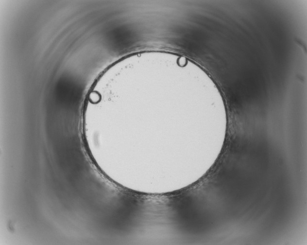 X0000103931136200810171745