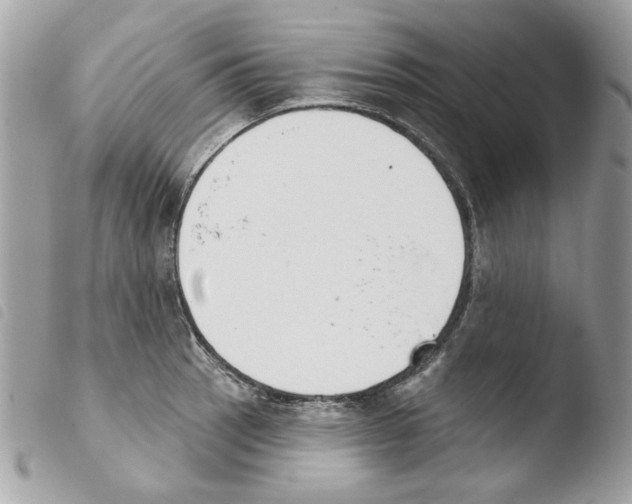 X0000103931137200810171745