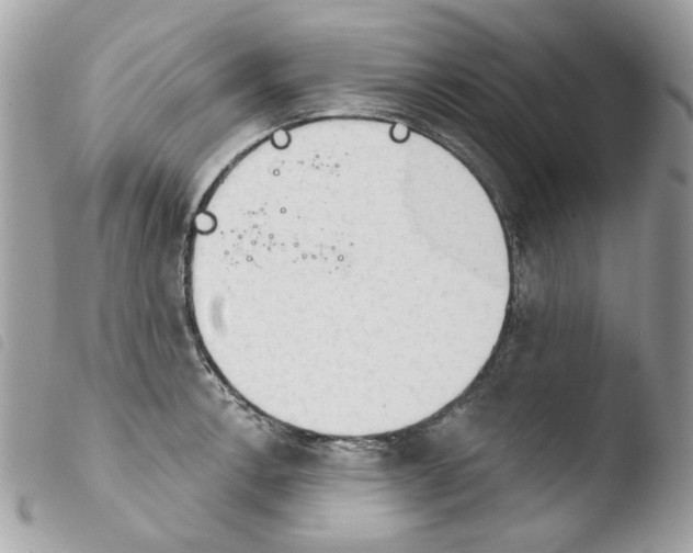 X0000103931138200810171745