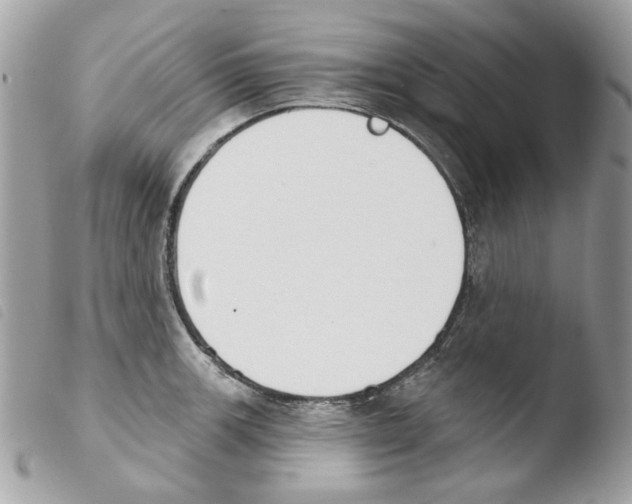 X0000103931139200810171745