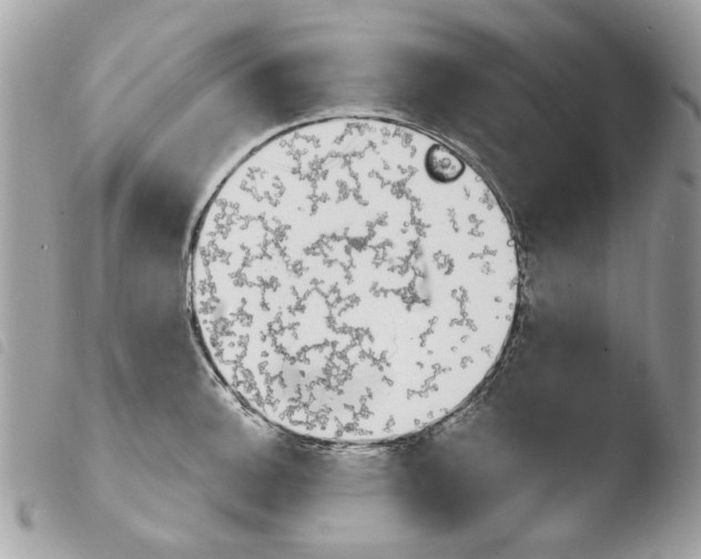 X0000103931140200810171745