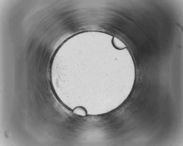 X0000103931141200810171745