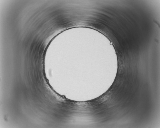 X0000103931142200810171745