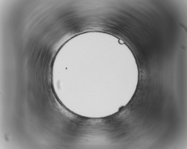 X0000103931143200810171745