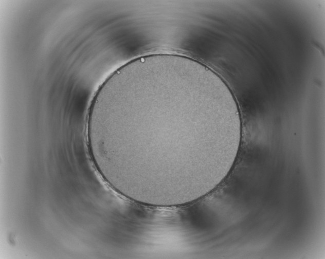 X0000103931144200810171745