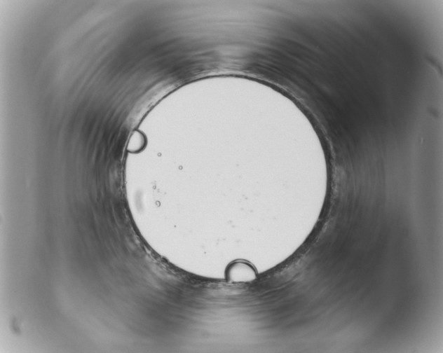 X0000103931145200810171745