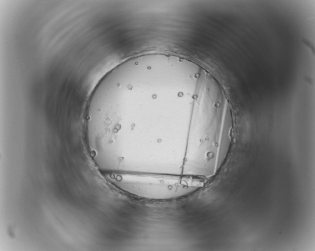 X0000103931146200810171745