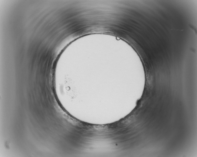 X0000103931147200810171745