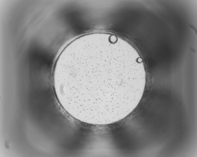 X0000103931148200810171746