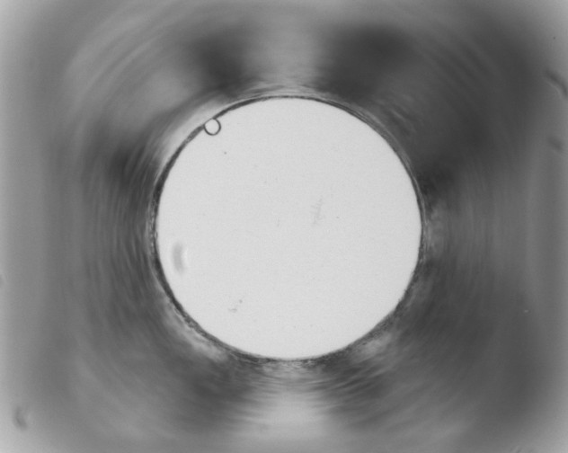 X0000103931149200810171746