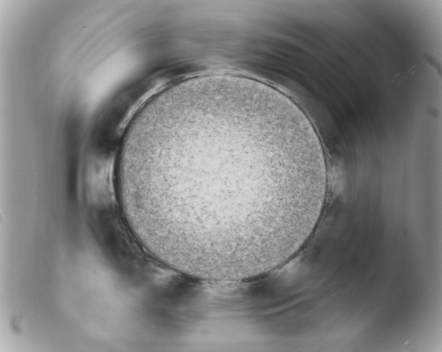 X0000103931150200810171746